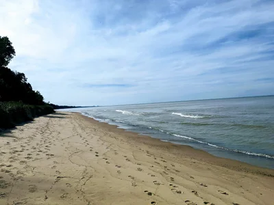 Berrien County - Photo 3