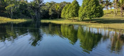 Canavieiras - Photo 3