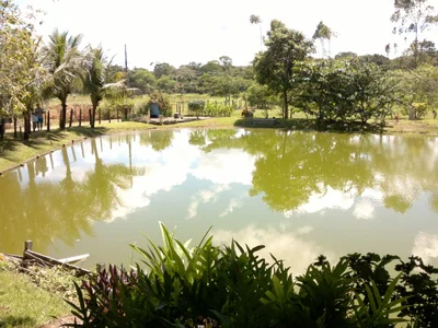 Canavieiras - Photo 4