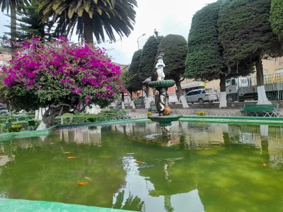 Municipio Sorata - Photo 4