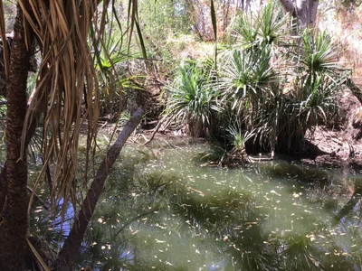 Victoria Daly Region - Photo 2
