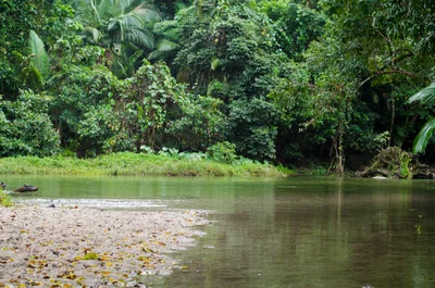Daintree Village - Photo 2