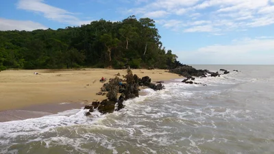 Daintree Village - Photo 4