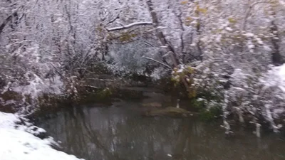 Bessemer - Photo 4