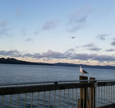 Tokeland - Photo 4