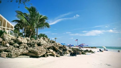 Siesta Key - Photo 5