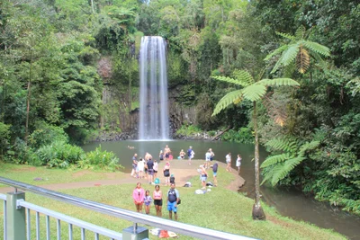 Tablelands Regional - Photo 4