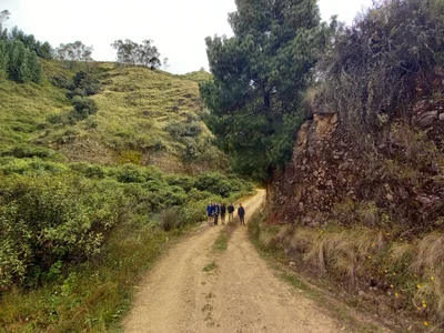 Colomi - Photo 4