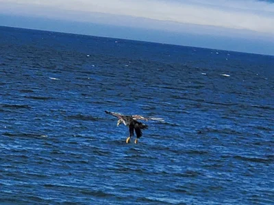 Clallam Bay - Photo 5