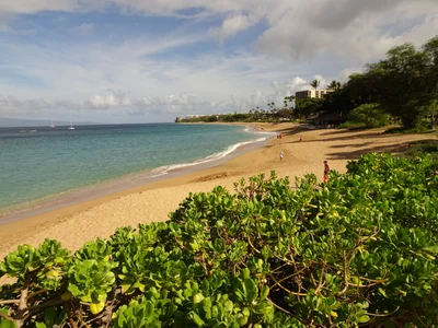 Kaanapali - Photo 4