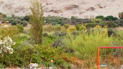 El Algarrobal - Photo 4