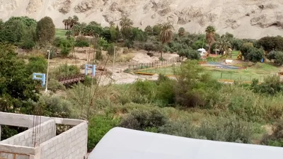 El Algarrobal - Photo 5