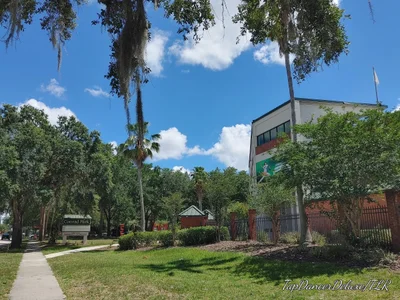 DeLand - Photo 2