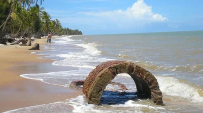Caravelas - Photo 5