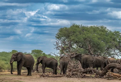 Bwabwata National Park - Photo 2