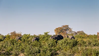 Bwabwata National Park - Photo 4