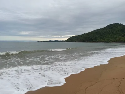 Bingil Bay - Photo 2