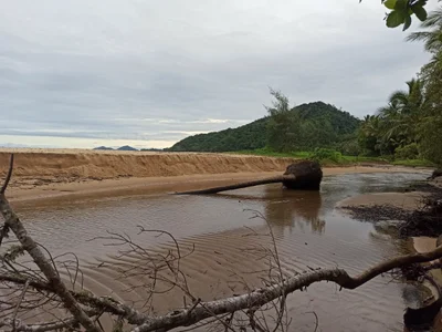Bingil Bay - Photo 3