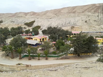 Calientes - Photo 3