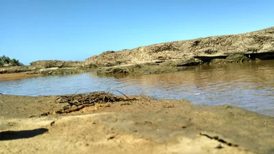 Barra Nova - Photo 2