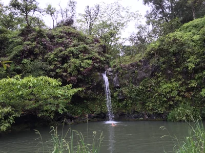 Hana - Photo 2