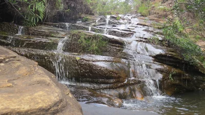 Trilha Cachoeira Vitoria - Photo 3
