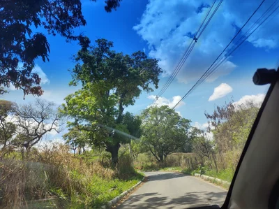 Vespasiano - Photo 3
