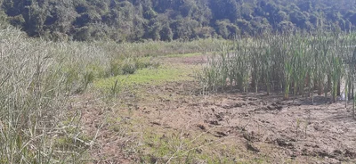 Caratinga - Photo 3