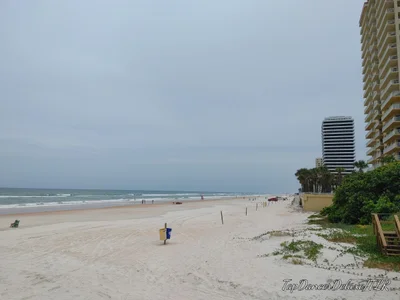 Ormond Beach - Photo 4