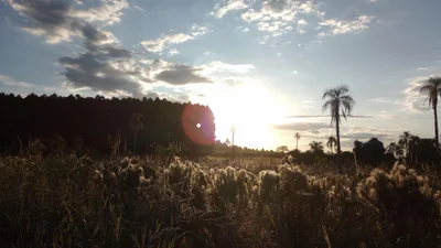 Alto Recreio - Photo 2