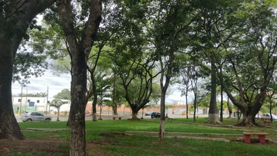 Lagoa da Prata - Photo 3