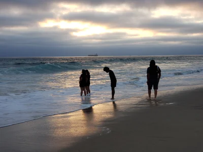 Manhattan Beach - Photo 2