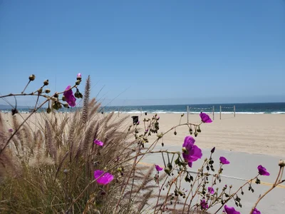 Manhattan Beach - Photo 3