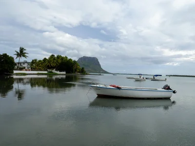 La Gaulette VCA - Photo 2