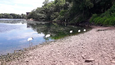 Ilha Solteira - Photo 5
