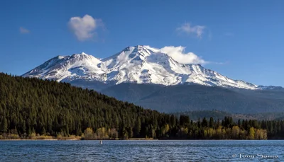 Mount Shasta - Photo 5