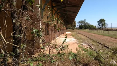 Bebedouro - Photo 3