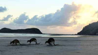 Mackay Regional - Photo 4