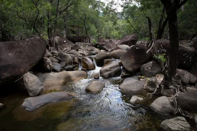 Mackay Regional - Photo 5