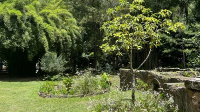 Old Thermal Baths - Photo 4