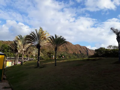 Horto Florestal - Photo 2