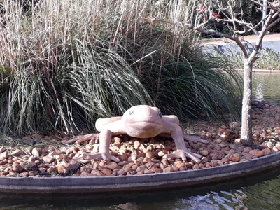 Horto Florestal - Photo 3
