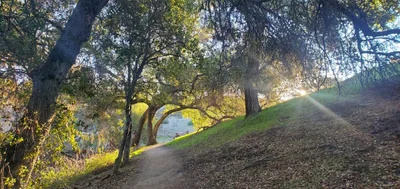 Warner Springs - Photo 5
