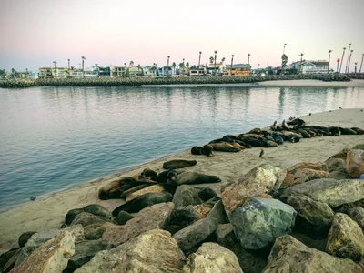 Oxnard - Photo 2
