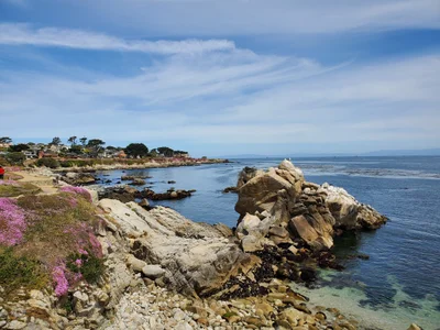 Pacific Grove - Photo 2