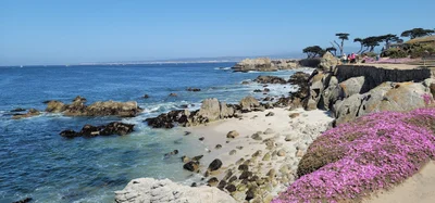 Pacific Grove - Photo 4