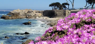 Pacific Grove - Photo 5