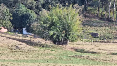 Caconde - Photo 4