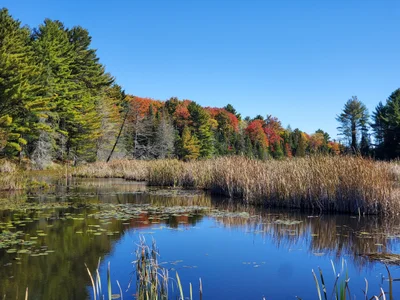 Bracebridge - Photo 2