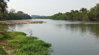 Pirassununga - Photo 3